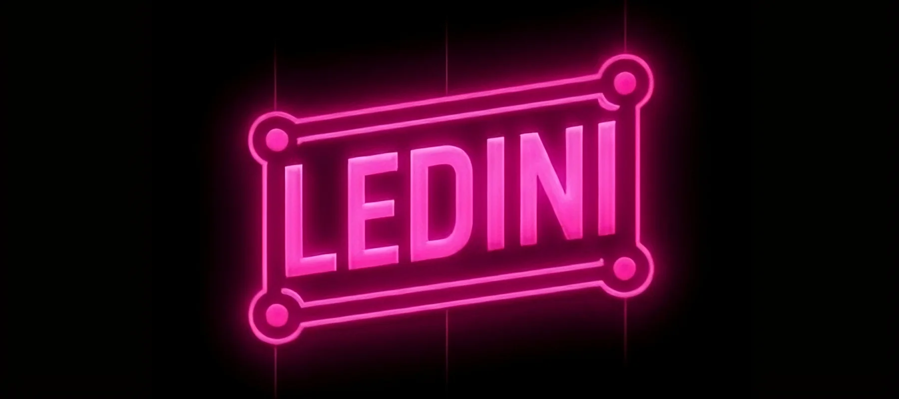 LEDINI